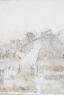 Wolf im Seesturm - 153 x 173 cm - acrylic/canvas - 2011